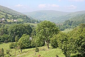Glen Hill