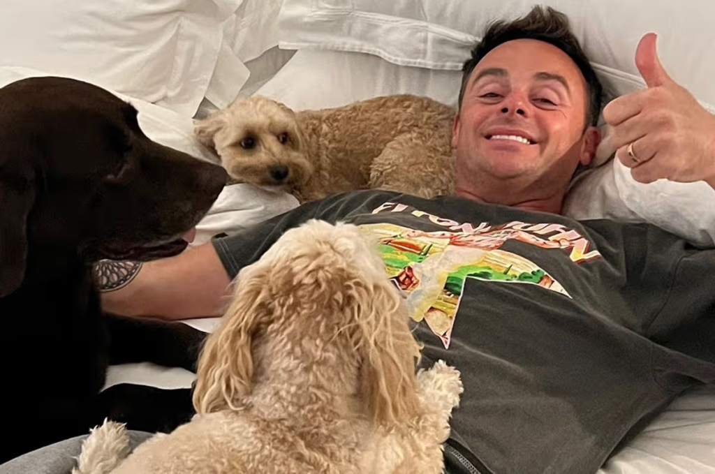 Ant McPartlin left devastated after death of his chocolate Labrador