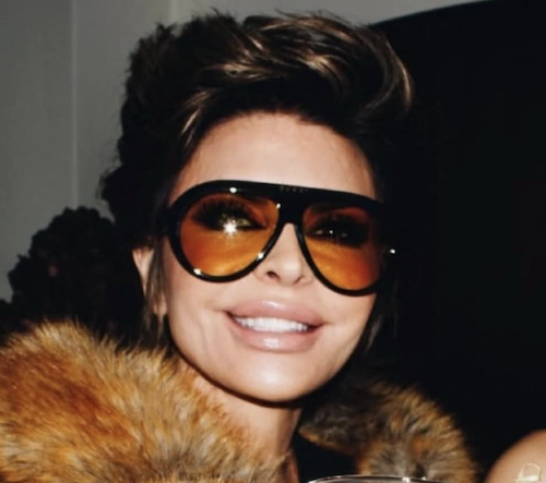 Lisa Rinna says Real Housewives saved her career