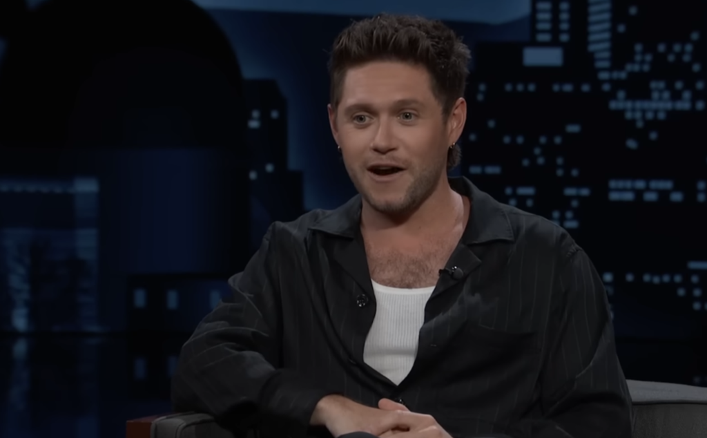 Niall Horan Jokes Basement Pub in His London Home Was His ‘Worst Idea Ever’