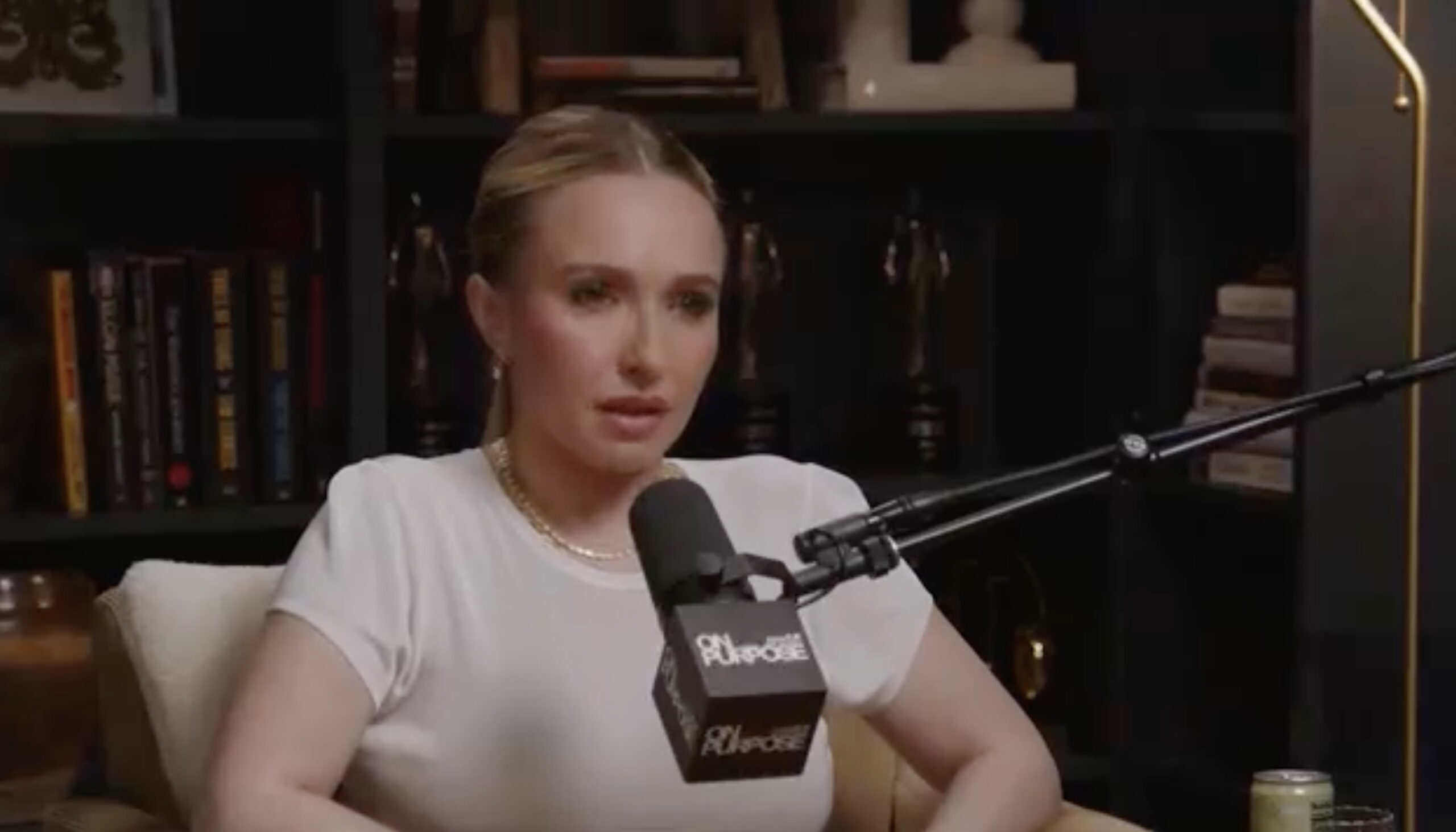 Hayden Panettiere Breaks Silence on Custody Decision and Recovery